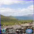 High Quality PVC Coated Hog Wire Fencing